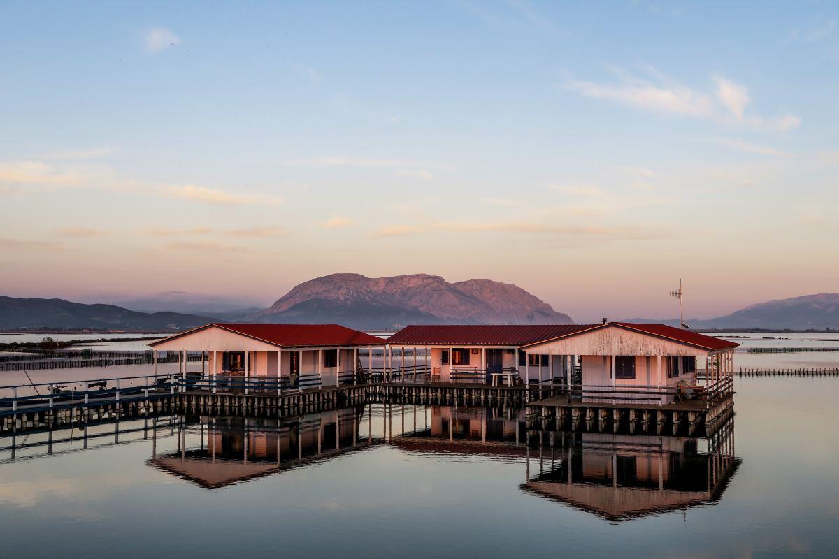 《教师花传书》读书笔记500字